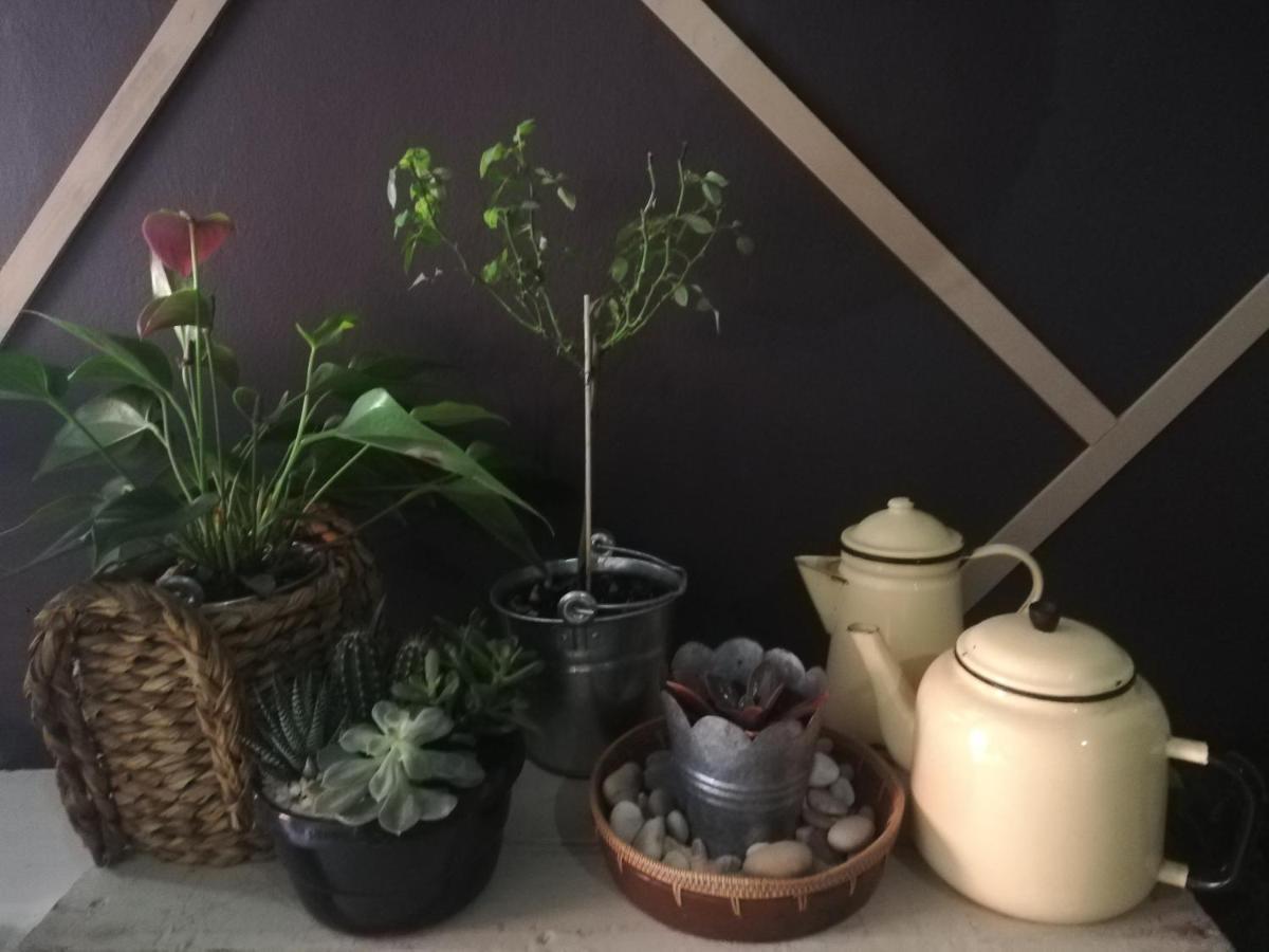 Ashtree Guesthouse Hanover Ngoại thất bức ảnh